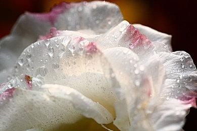 卡牌冒险+AVG游戏《巴别塔》Steam页面上线 明年第三季度发售